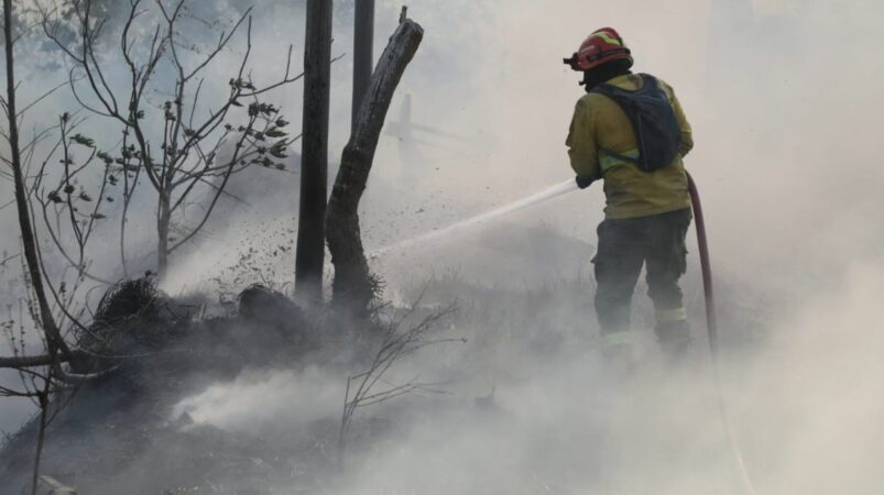 Cuatro Incendios Forestales Est N Activos En Quito