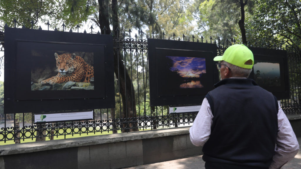 Paisajes de Ecuador en México: una exhibición se inauguró en el bosque de Chapultepec
