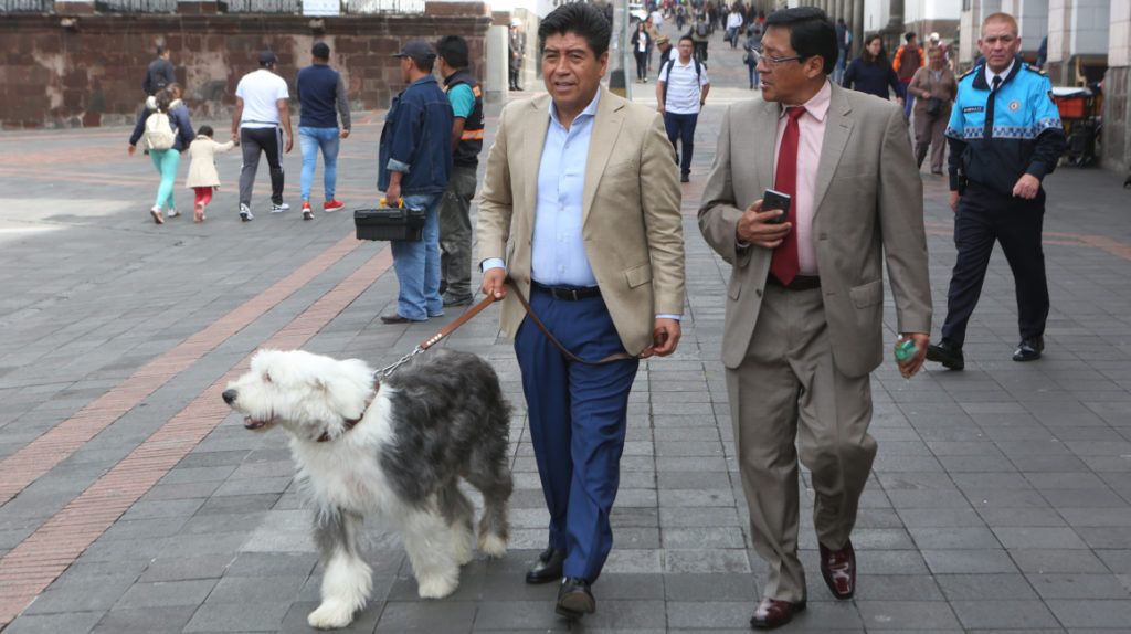 Zeus se paseó por el Municipio de Quito