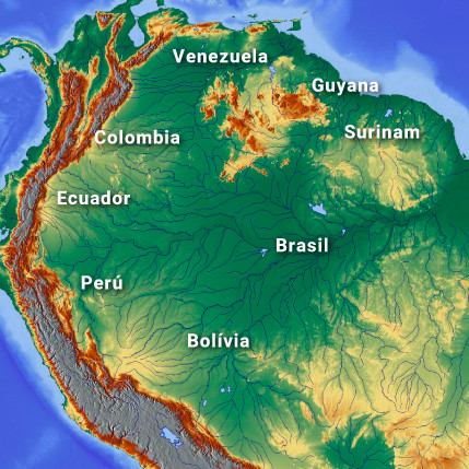 Amazon vs la Amazonía: Ecuador y 7 países más en disputa por el dominio ‘.amazon’ 
