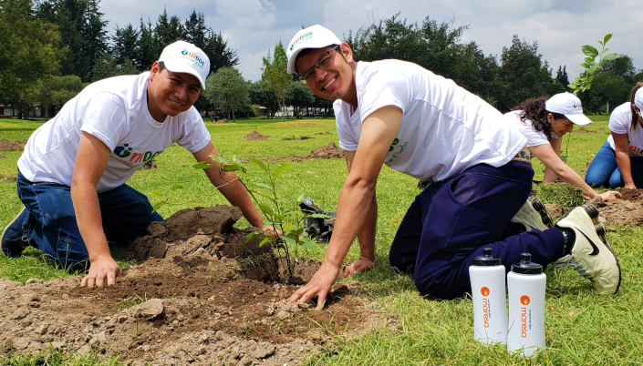 Colaboradores de Maresa plantaron 250 árboles en el parque Bicentenario
