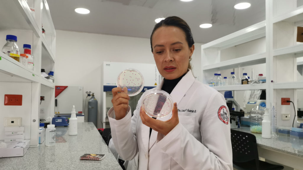 Becarios obligados a devolver miles de dólares a la Senescyt