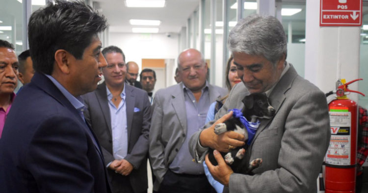 Jorge Yunda entrega un animal a la Empresa Municipal de Transporte