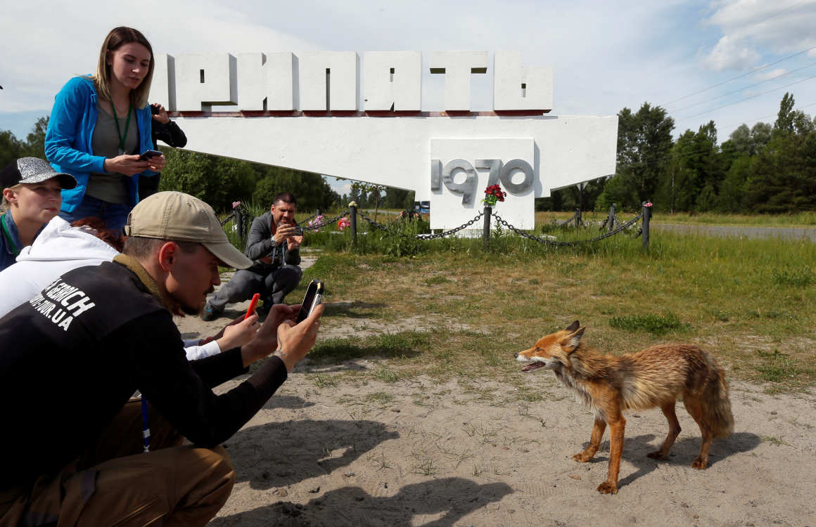 Un grupo de turistas toma fotografías de un zorro en la ciudad abandonada de Pripyat.