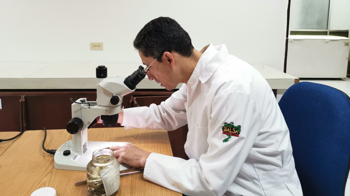 Santiago Ron, biólogo especializado en anfibios