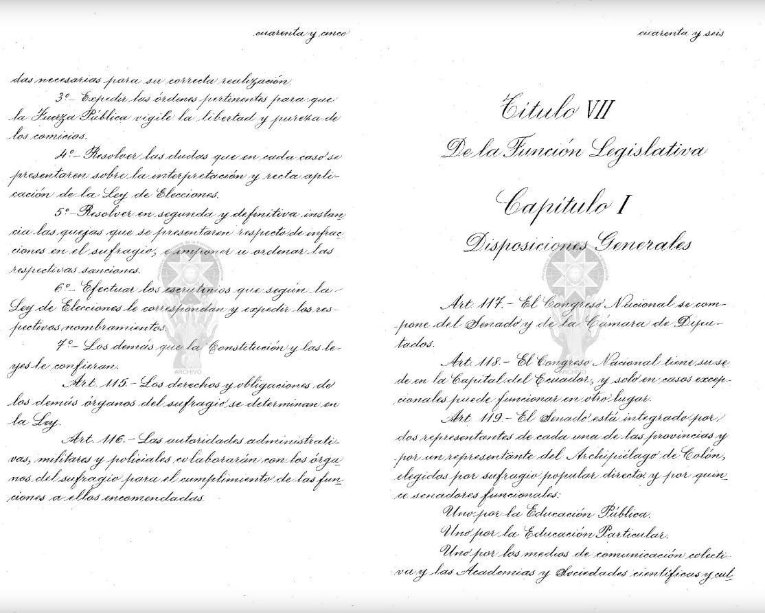 La Constitución de 1966, en las páginas que se refieren a la Función Legislativa.
