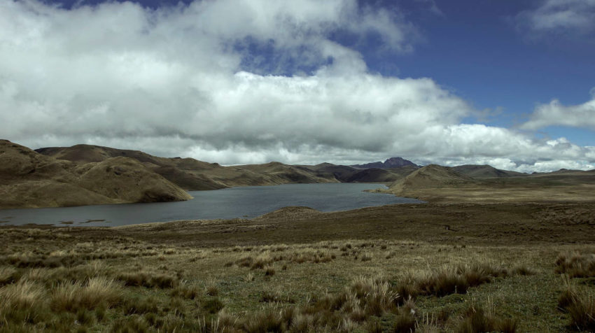 La Reserva Ecológica Antisana tiene varias lagunas donde nacen los ríos que alimentan a los ríos Coca y Napo.
