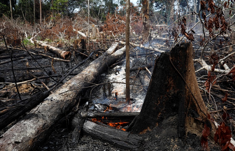Imagen de la devastación causada por el incendio forestal en la zona de Novo Airao, muy cerca del Parque Nacional  de Anavilhanas.  