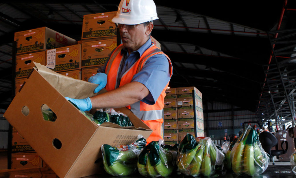 Procarsa anuncia la emisión de USD 1,7 millones de papel comercial