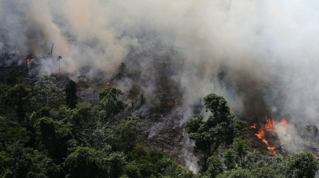 La Amazonía arde, más de 38.228 incendios en lo que va del año