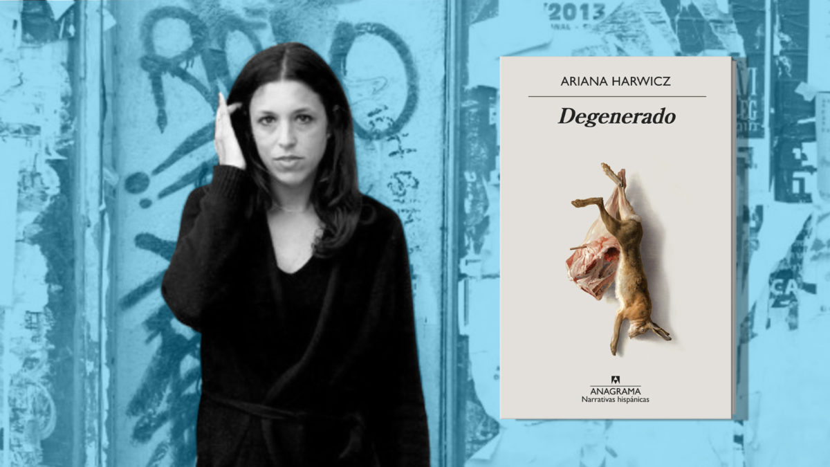 'Degenerado', la última novela de Ariana Harwicz