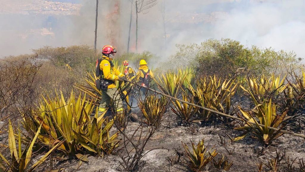Se registró incendio forestal en el sector de Los Mastodontes, Carcelén en Quito