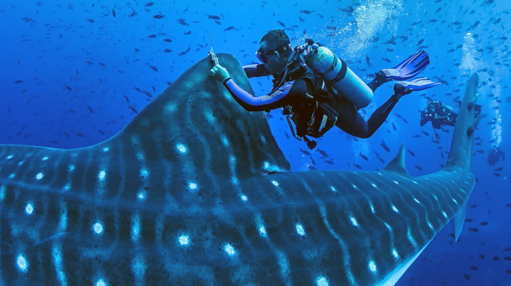 Galápagos tendrá un catálogo de su biodiversidad genética