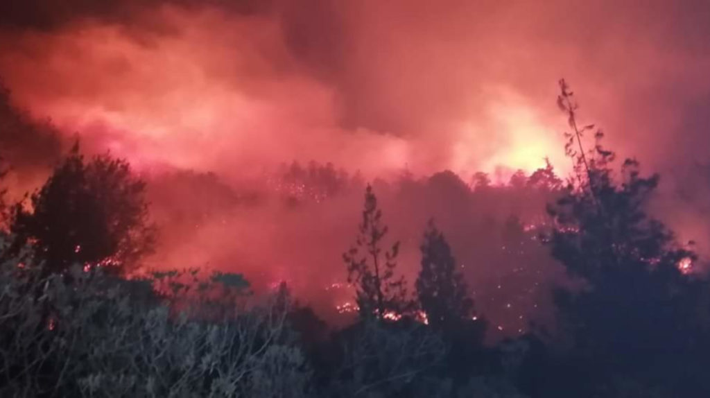 Incendio afecta a 1.386 hectáreas de bosque en Loja