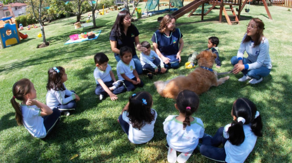 Terapia con perros ayuda a los niños a desarrollar sus habilidades