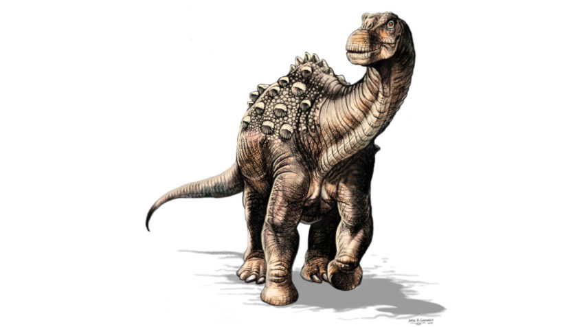 La reconstrucción del primer dinosaurio hallado en Ecuador estuvo a cargo de Jorge González.