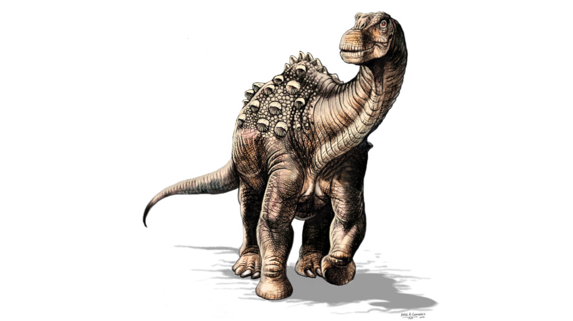 El Yamanasaurus, el primer dinosaurio encontrado en Ecuador