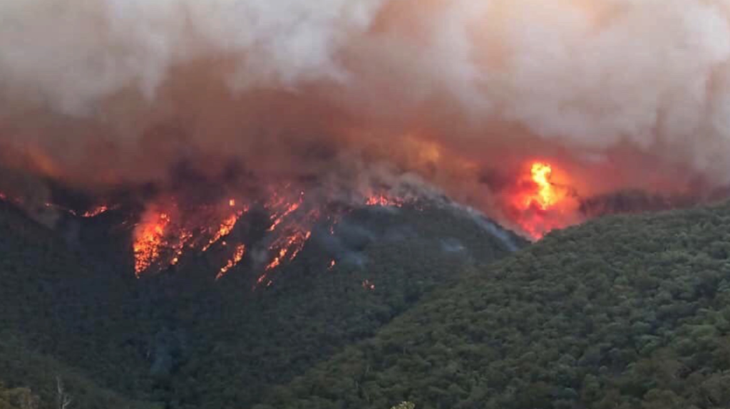 Sube a 17 el número de fallecidos por los incendios en Australia