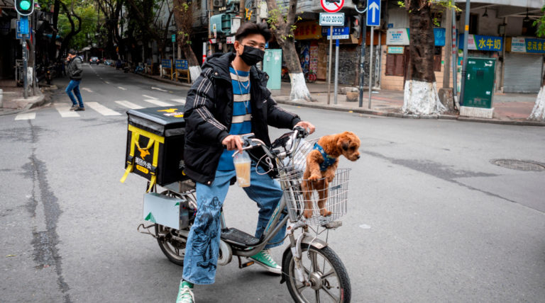 Un hombre con una máscara sanitaria lleva a su perro en la cesta de su bicicleta en Cantón, provincia de Guangdong (China).