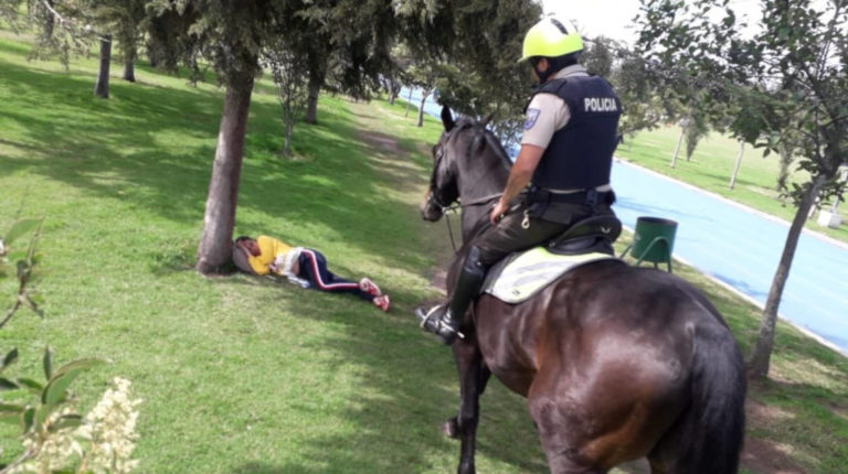 policias a caballo carolina