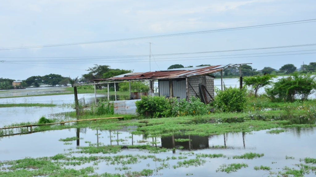 Lluvias provocan inundaciones en zonas rurales de Guayas