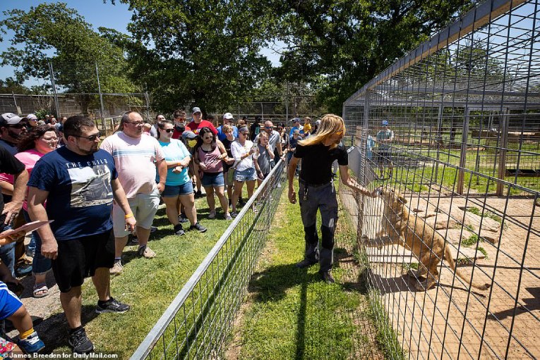 Los visitantes a la reapertura del zoológico de Joe Exotic abarrotaron el lugar, sin respetar medidas de seguridad.