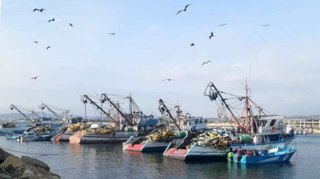 Gremio anuncia paralización indefinida por la Ley de Pesca