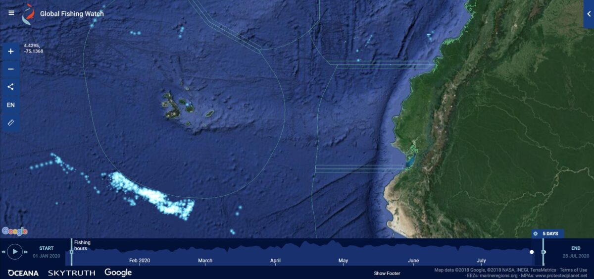 Global Fishing Watch muestra en tiempo real el desplazamiento de las flotas pesqueras en el mundo, se puede observar las que se mantenían al borde del límite marítimo de Galápagos, hasta el 28 de julio de 2020.