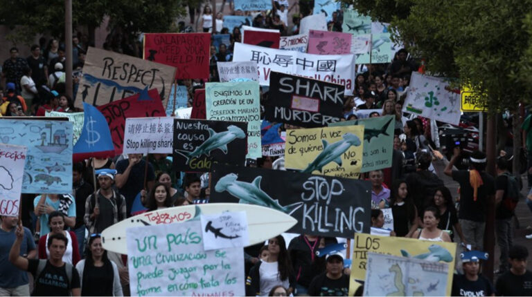 Protesta en la isla Santa Cruz por la pesca ilegal en los límites de la zona económica exclusiva (ZEE) de las Islas Galápagos, el 25 de agosto de 2017.