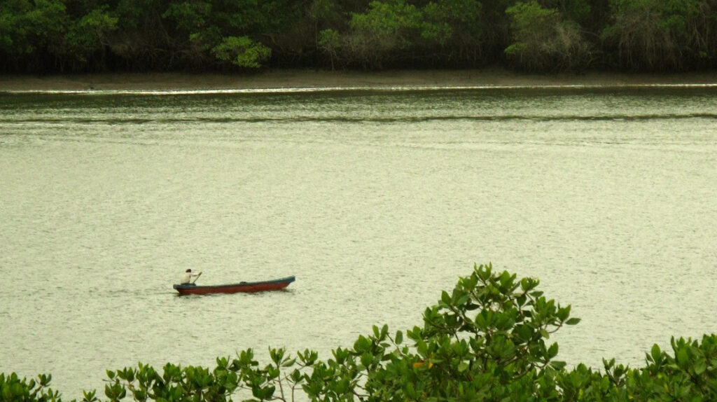 Destinan USD 1,2 millones para la conservación del manglar en dos provincias