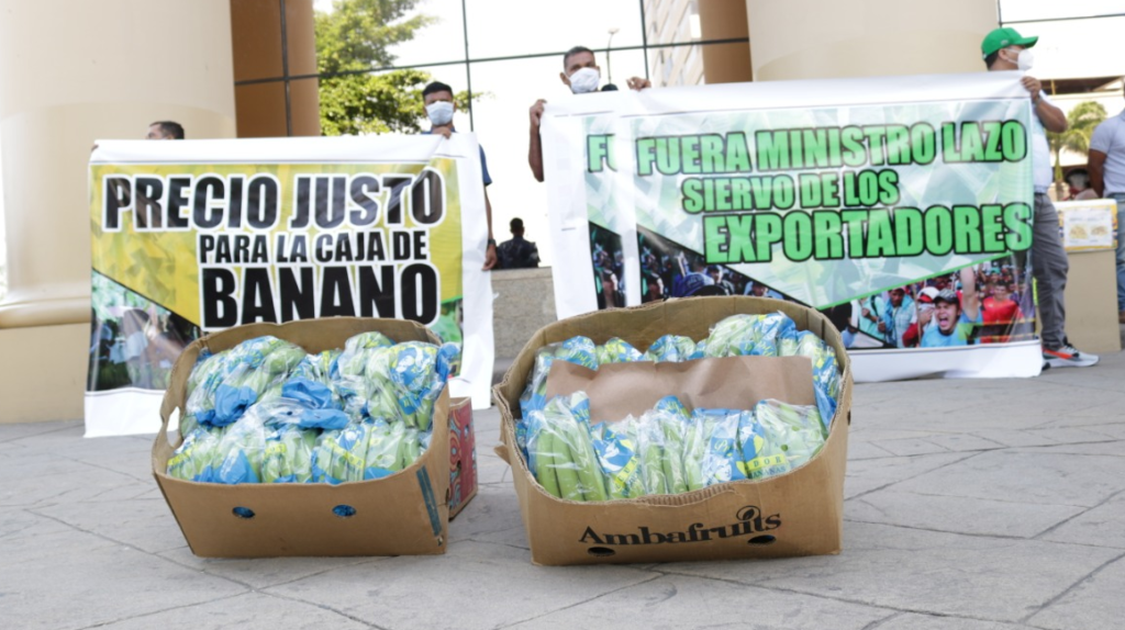Productores y exportadores de banano en una nueva disputa de precios