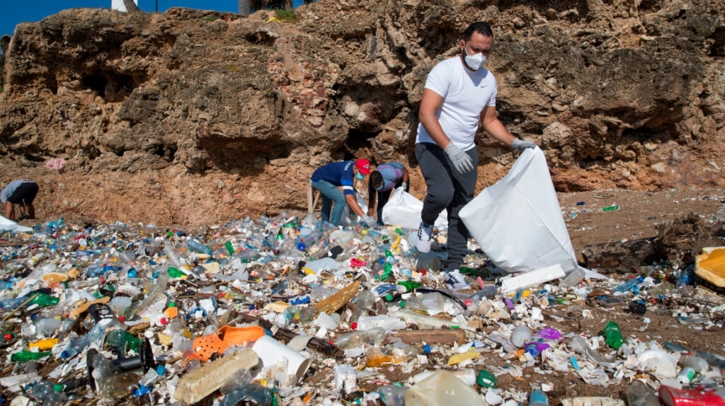 939.000 toneladas de alimentos se desperdician al año en Ecuador