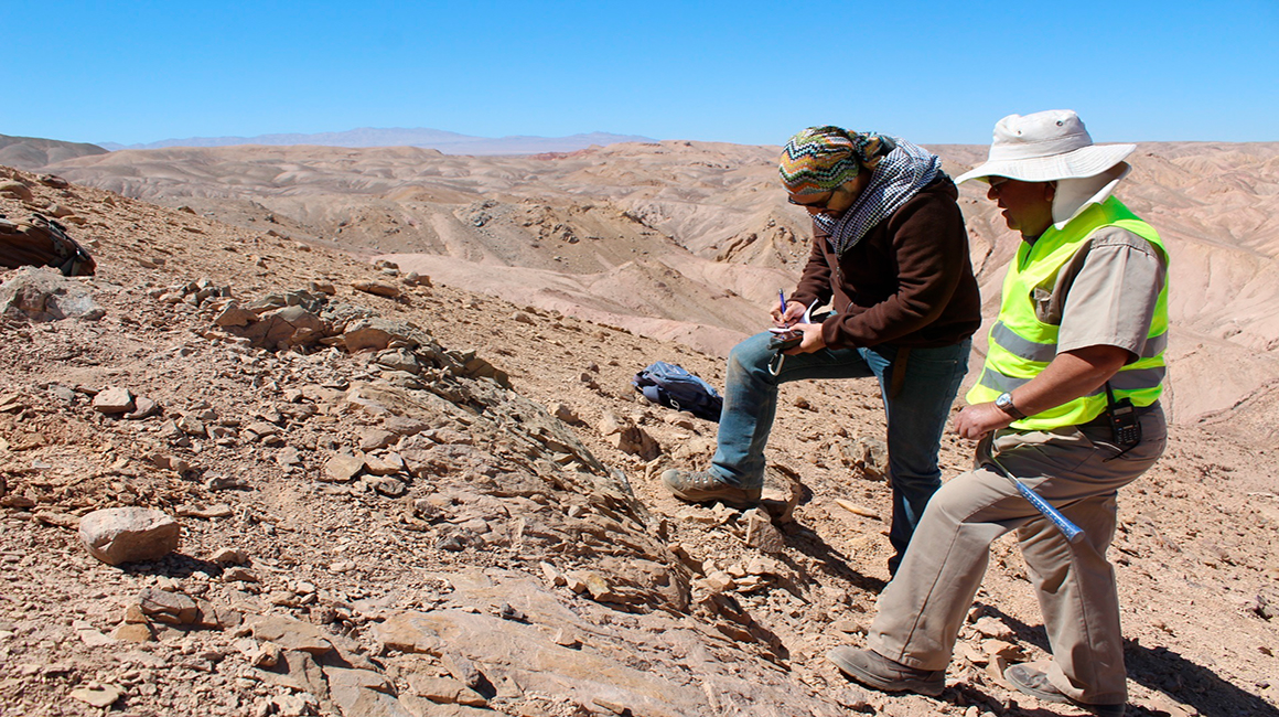 Fotografía cedida por Mauricio Castro Barraza que muestra a expertos mientras estudian los restos de un depredador marino del Jurásico, en el desierto de Atacama (Chile).
