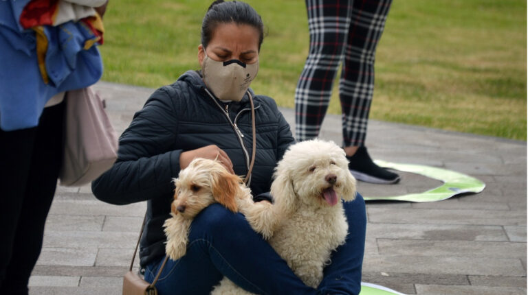 El 52% de arrendatarios ecuatorianos busca un hogar 'pet friendly'