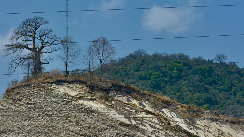 Guayaquil: túnel en bosque Cerro Blanco enfrenta a ecologistas y autoridades