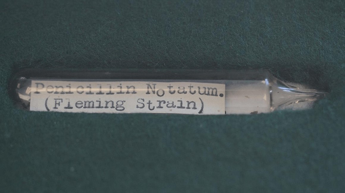 Científicos secuencian el moho de 92 años que produjo el primer antibiótico, la penicilina de Alexander Fleming.