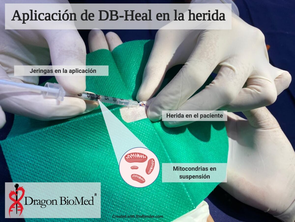 Prototipo de DB-Heal