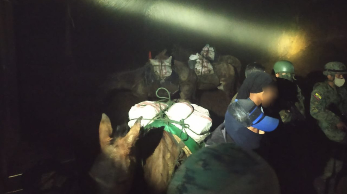 Caballos, mulas y burros son usados por mineros ilegales para transportar el material aurífero. Imagen de un operativo el 1 de febrero de 2021. 