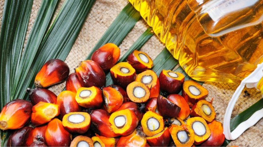 Uno de los productos estrella de la palma es el aceite. 