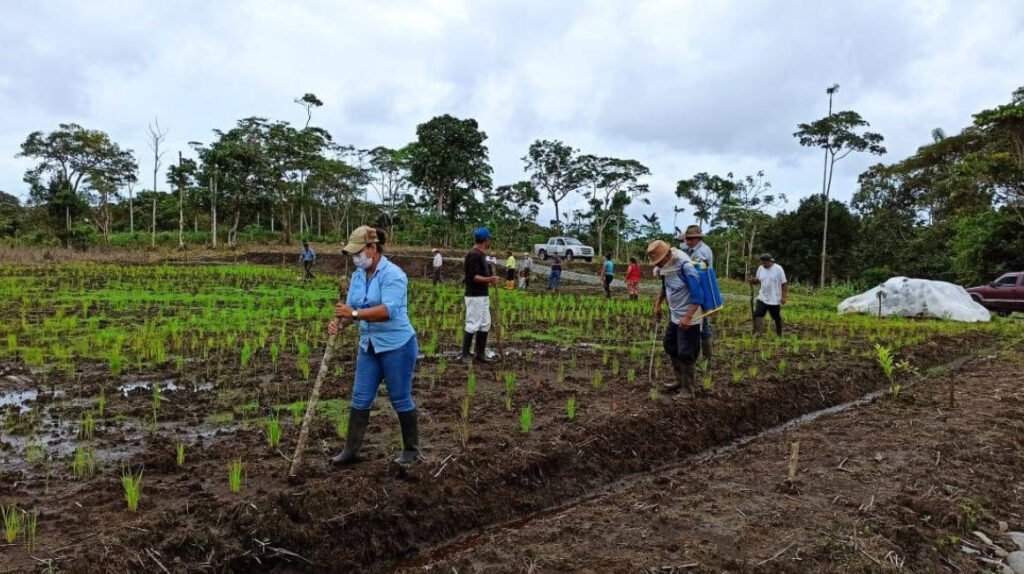 Sector rural: el 77,9% de trabajadores tiene un empleo no adecuado