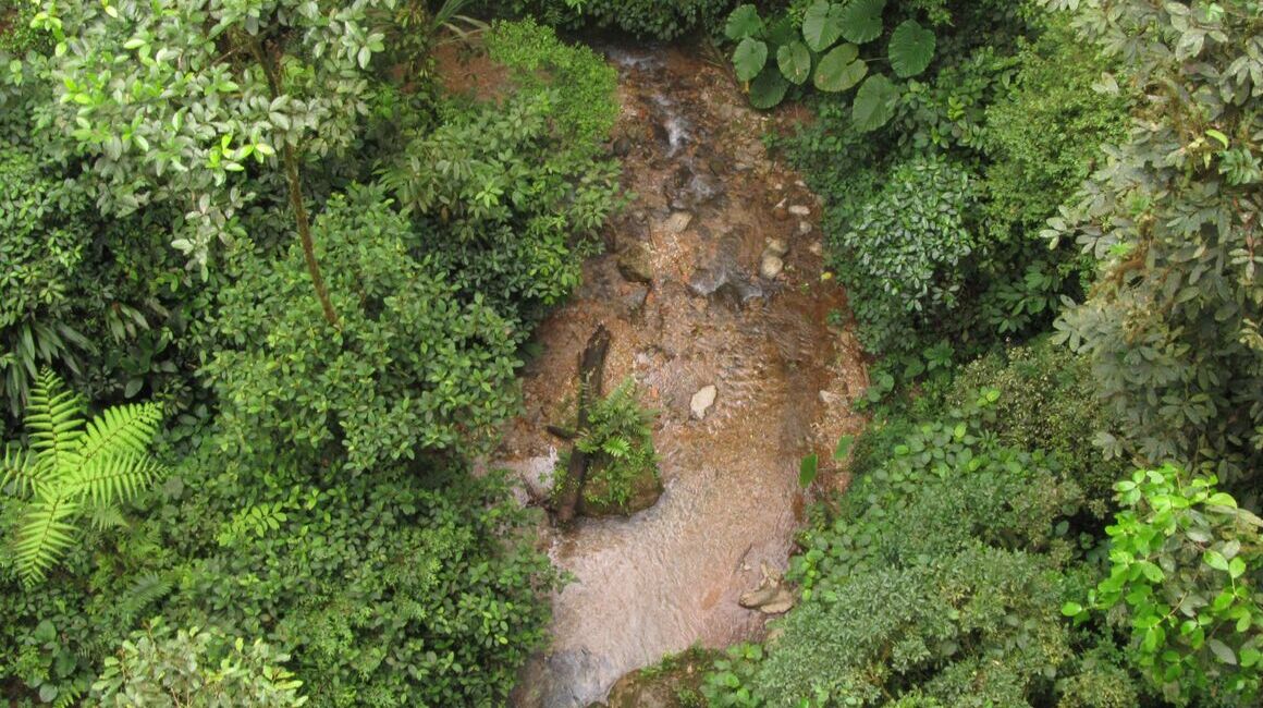 Vista aérea de un río ecuatoriano.