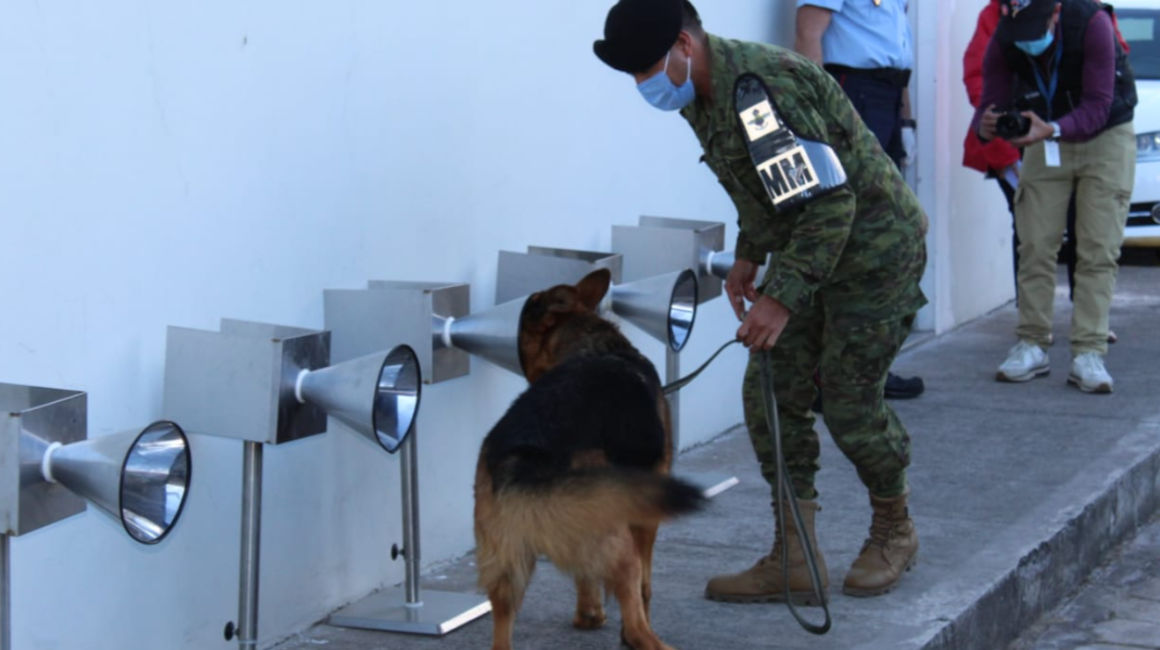Un perro entrenado para detectar Covid-19 junto a un miembro del Ejército, en Quito, el 2 de julio de 2021. 