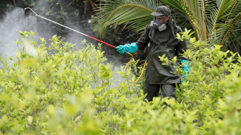 Un integrante de la Policía Colombiana fumiga un cultivo de coca durante una jornada de erradicación de cultivos ilícitos en zona rural de Tumaco, Colombia, en diciembre de 2020.