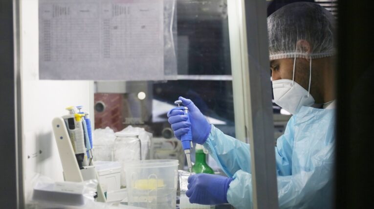 Investigador en un laboratorio revisando pruebas Covid.