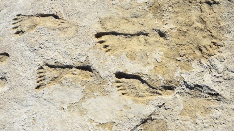 Huellas en Nuevo México indican presencia humana en América hace 23.000 años