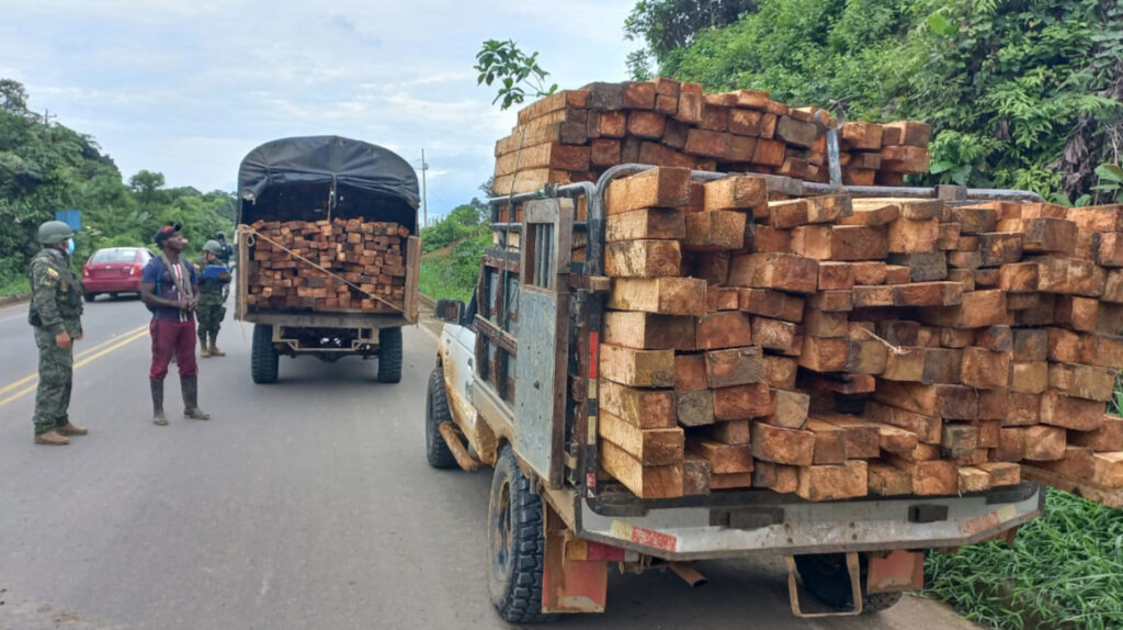 Dos millones de hectáreas de bosque se han talado ilegalmente en el país