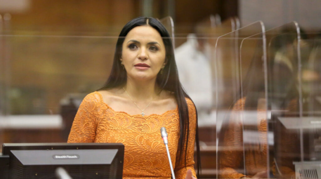 La ID nomina a Yeseña Guamaní para la segunda Vicepresidencia de la Asamblea