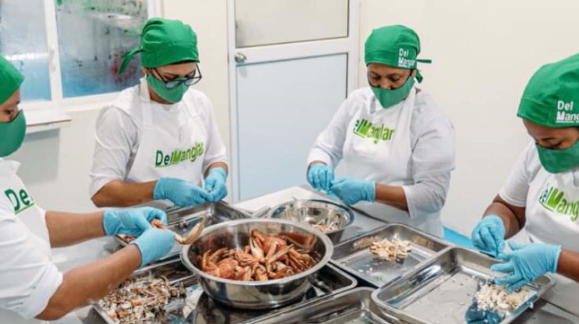 400 emprendedores su marca Mansur comercializan tres productos estrella: pulpa de concha, pulpa de cangrejo y uña de este último crustáceo