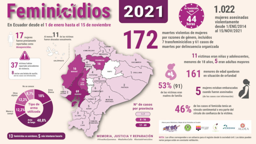 Reporte de femicidios de organizaciones sociales, al 15 de noviembre de 2021.