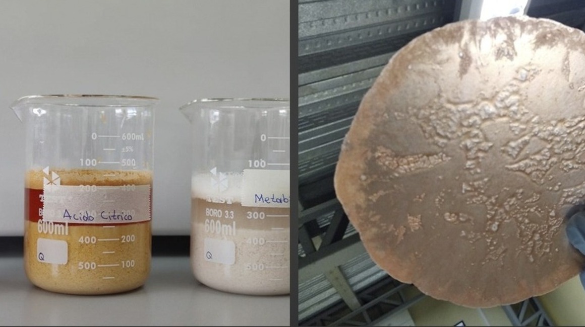 Biopolímeros transformados en material para ecoempaques.